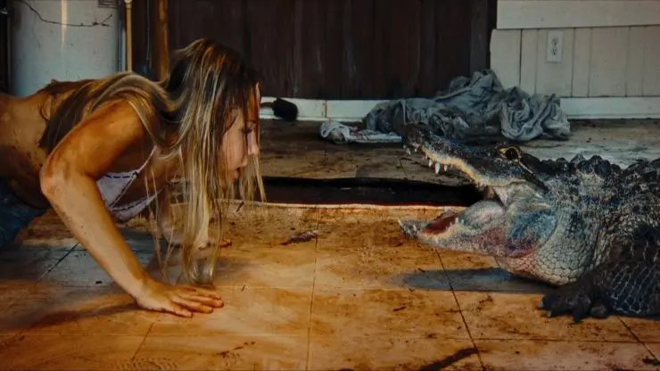 A woman facing an alligator