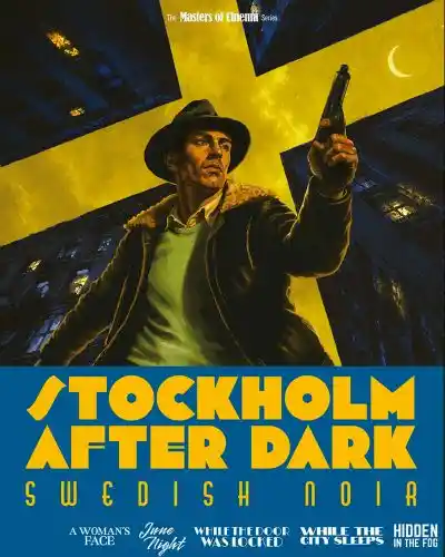 Artwork for Stockholm After Dark 4K
