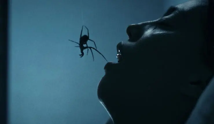 A spider above a sleeping woman