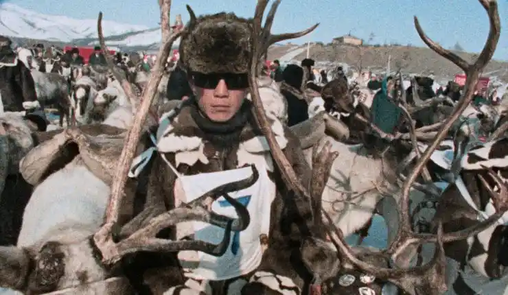 A man dressed for the cold surrounded by deer